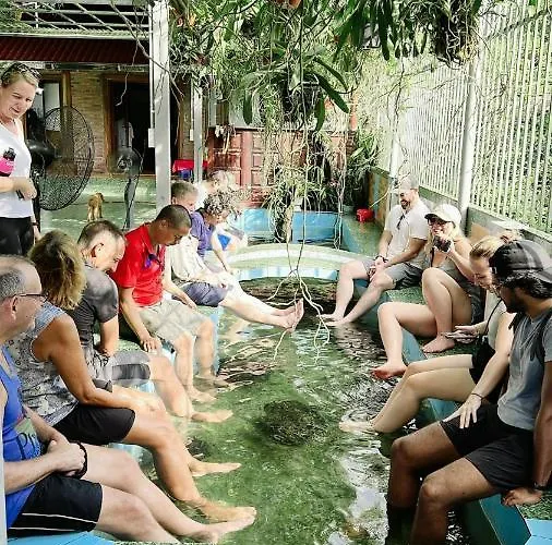 Unicharm Cruise  Hạ Long