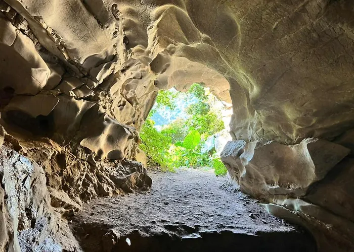 Unicharm Cruise - Hidden Route 2 Bays & Viet Village  4*