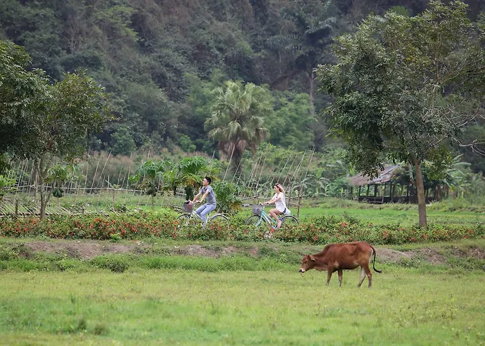Unicharm Cruise - Hidden Route 2 Bays & Viet Village