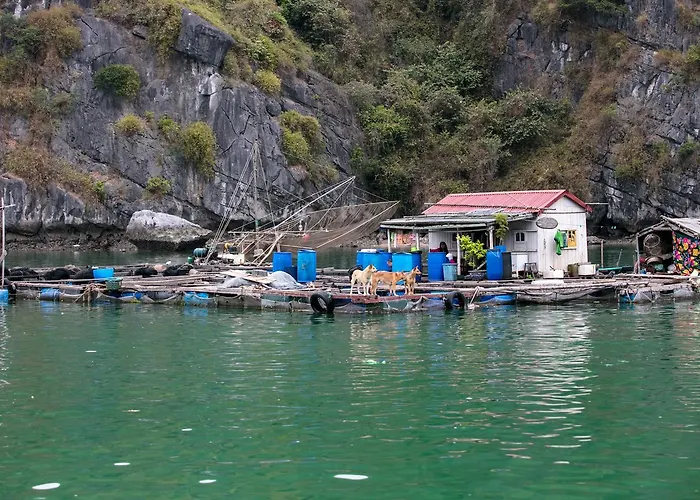  Unicharm Cruise - Hidden Route 2 Bays & Viet Village 4*